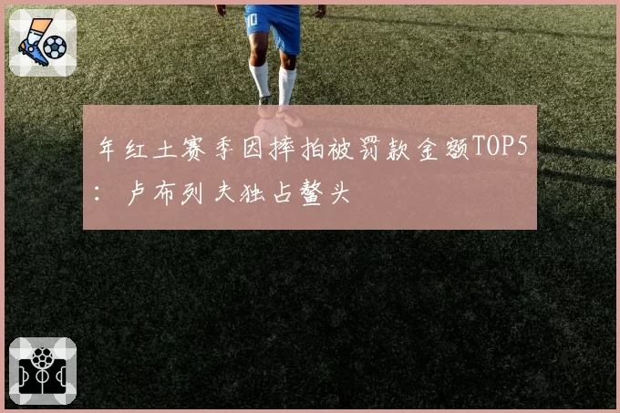 年红土赛季因摔拍被罚款金额TOP5:卢布列夫独占鳌头